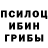 Галлюциногенные грибы мицелий Natalia Osminova