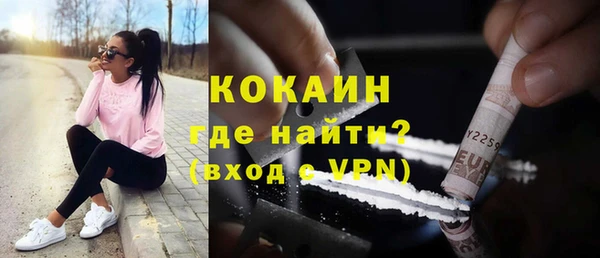 сатива Карталы