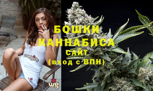 сатива Карталы