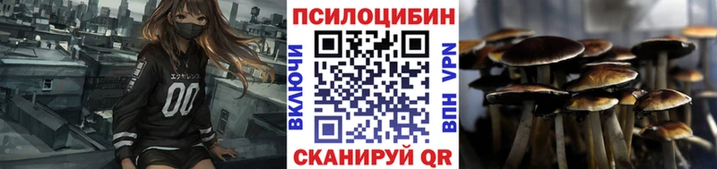 Галлюциногенные грибы Psilocybine cubensis  Купить закладки  Грайворон 